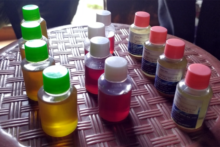 फ्रान्ससम्म पुग्छ इलामको धूपी, पाती र मेन्थाको तेल