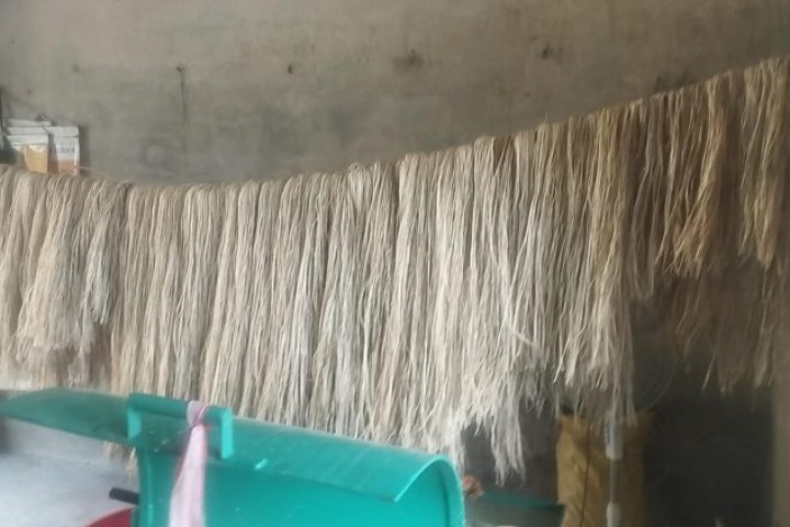 केराको रेशाबाट उत्पादित सामग्रीको माग बढ्दो