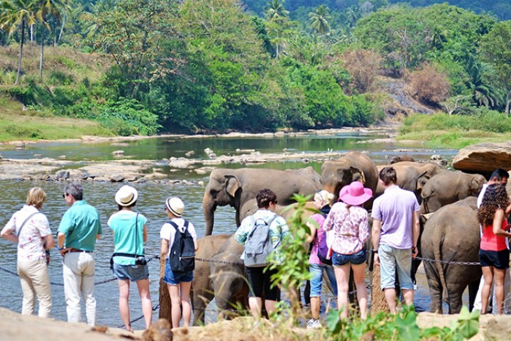 गुलजार बन्दै श्रीलंकाकाे पर्यटन, जनवरीमा ४ वर्ष यताकै धेरै आम्दानी